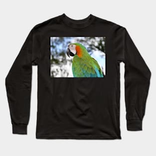 Harlequin Macaw Portrait Long Sleeve T-Shirt